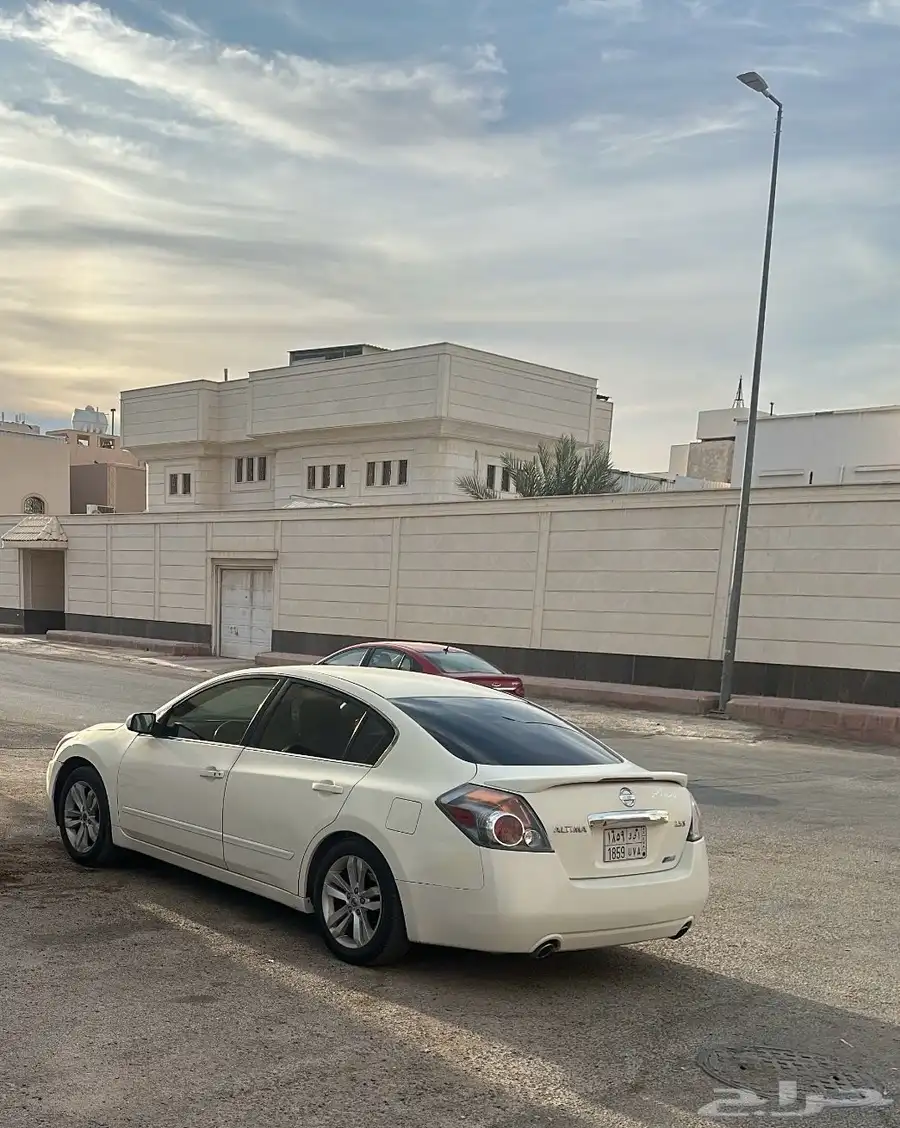 التيما 2010 1