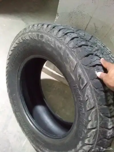 أطارت صخريه 0