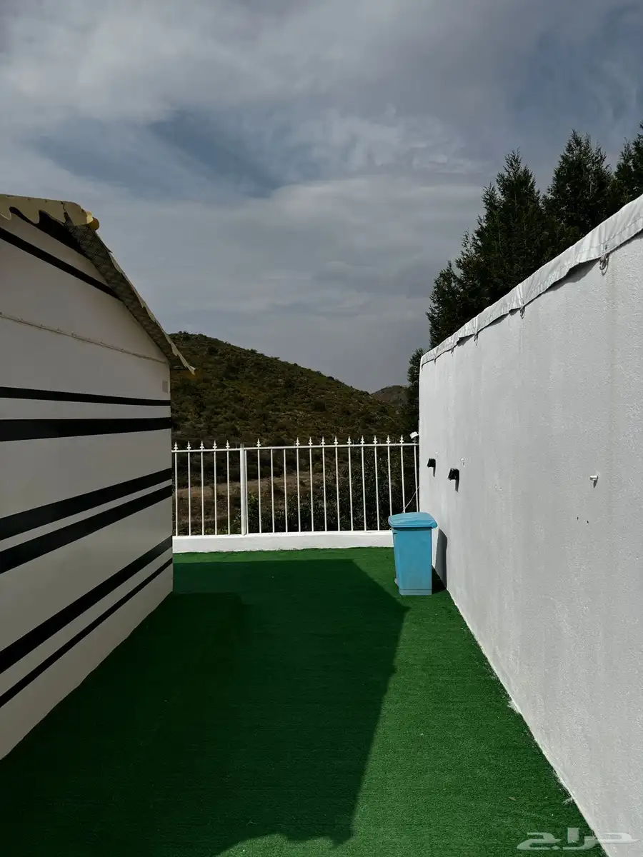السوده 1