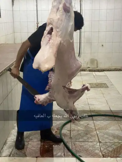 يوجد ذبايح على طلب مع توصيل 0