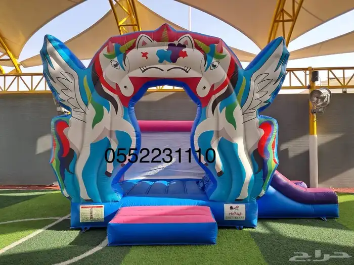 نطيطات وزحاليق جافة ومائية في الرياض 0