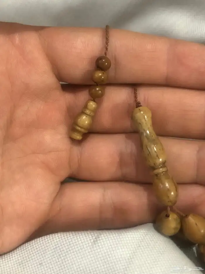 سبحاة 1
