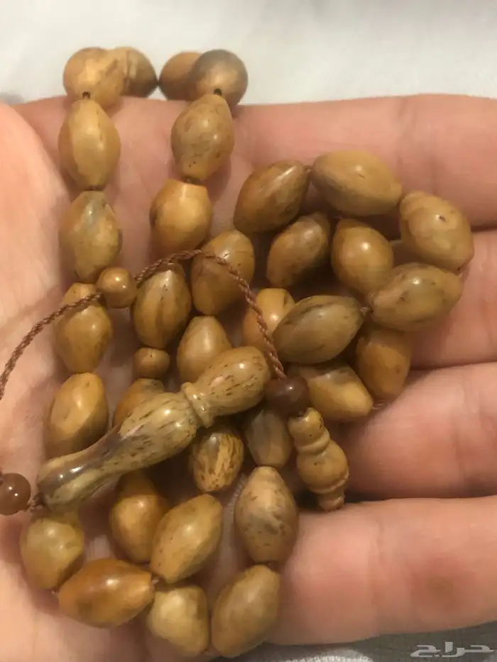 سبحاة 0