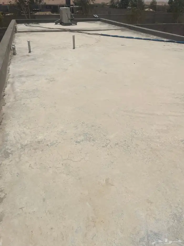 القصيم   حايل 3