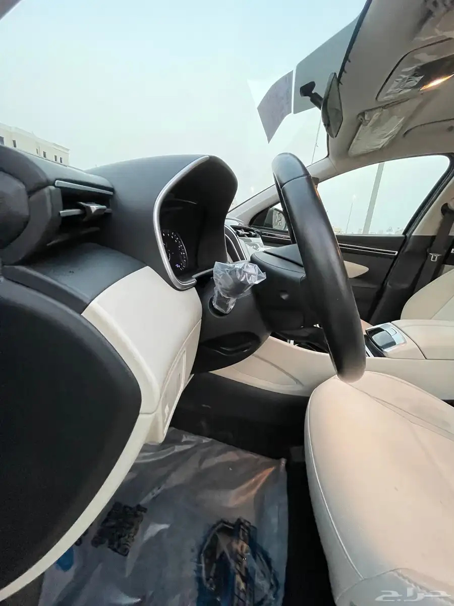 Hyundai Tucson 2.0 Smart 14