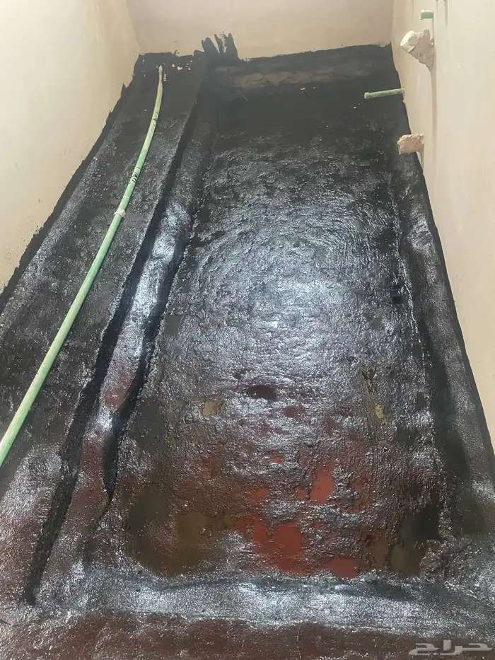 القصيم   حايل 8