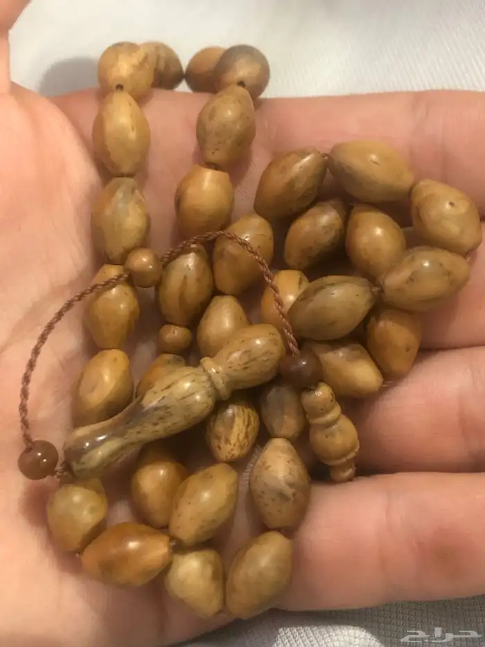 سبحاة 3