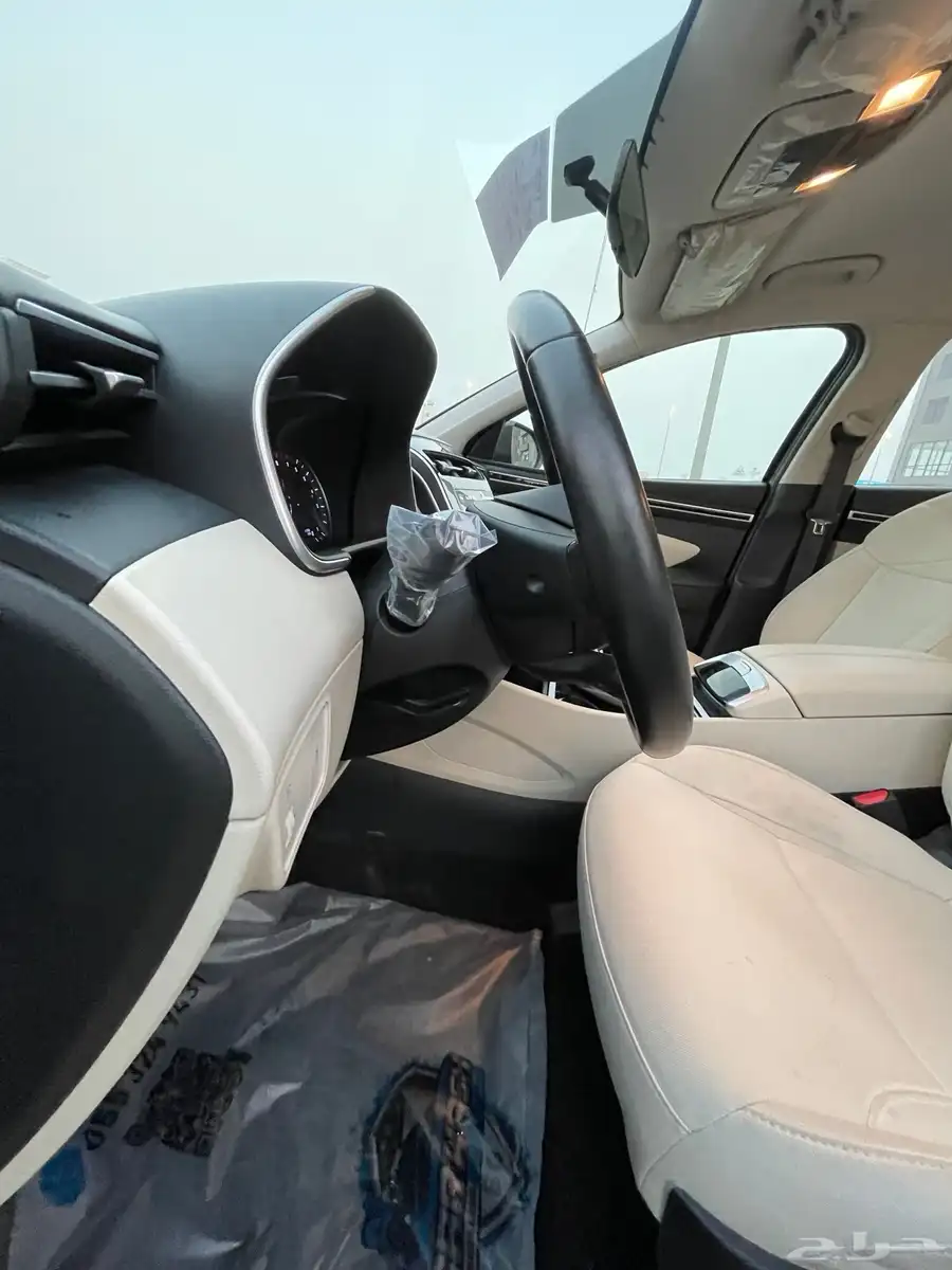 Hyundai Tucson 2.0 Smart 15
