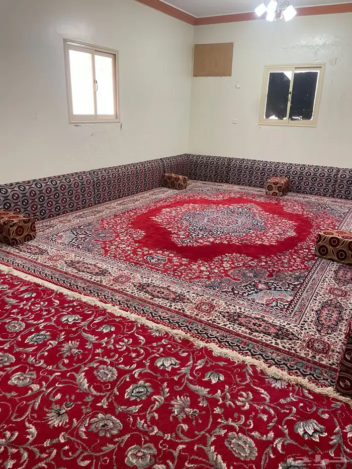 شقه مؤثثه للايجار 0