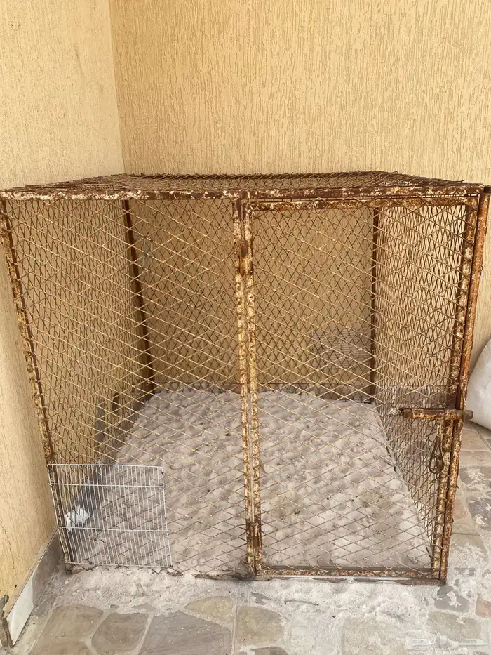 شبك 0