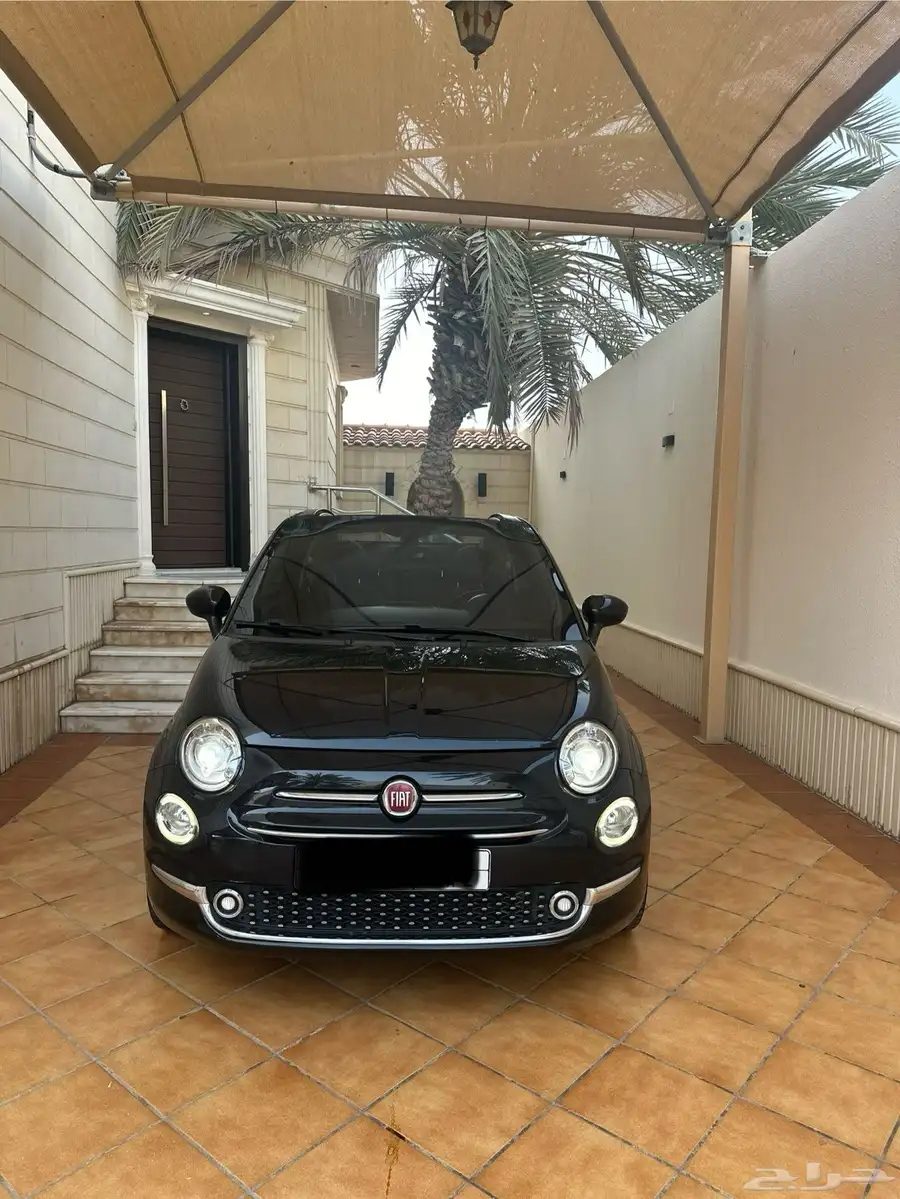 للبيع فيات 2019 7