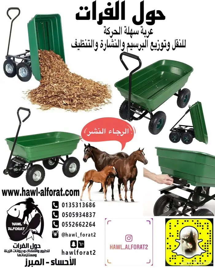 للبيع لجام استيتس لجام خيل 12