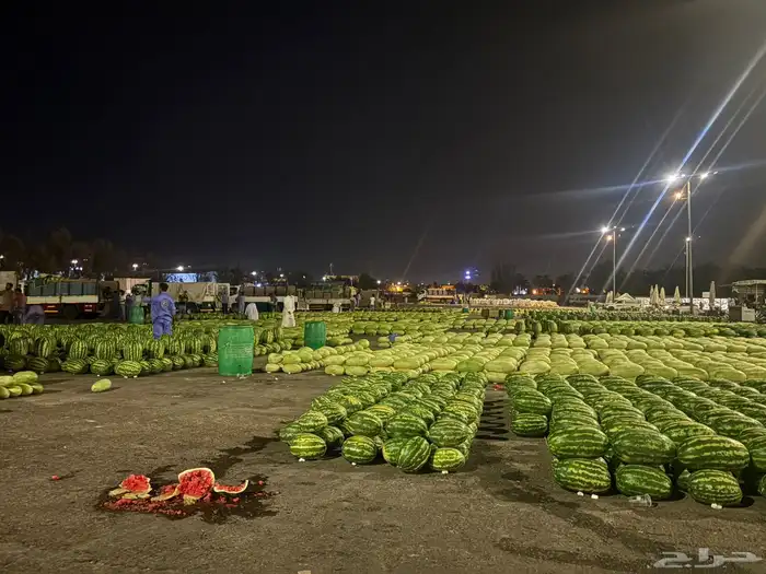 حبحب شمام حسب الطلب حاليا في سوق القصيم للطلب التواصل واتس 2