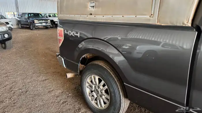 فورد f-150 10