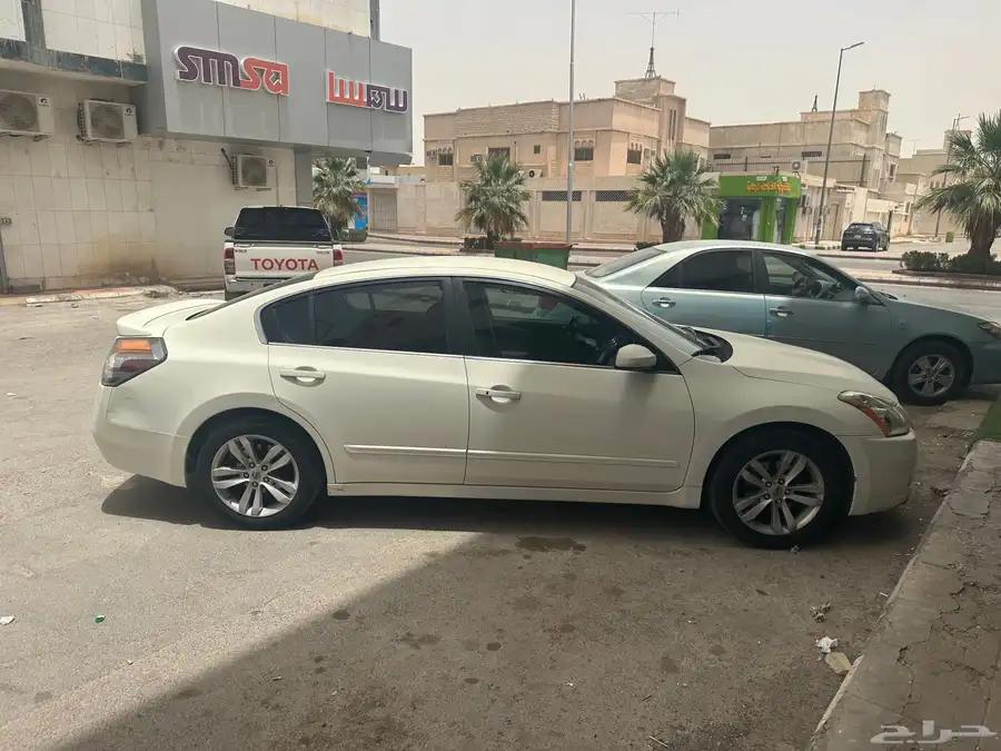 التيما 2010 2