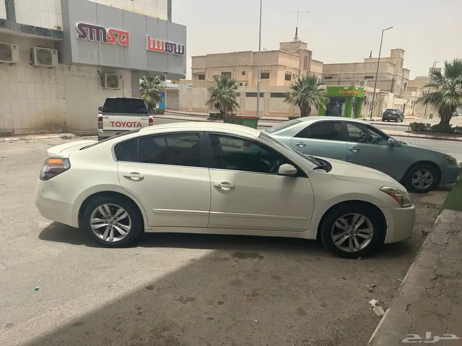 التيما 2010 3