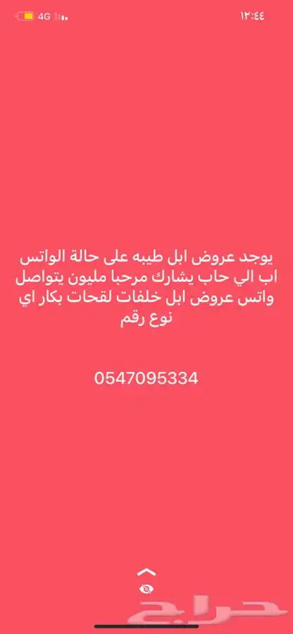 لقحه صفرا 1