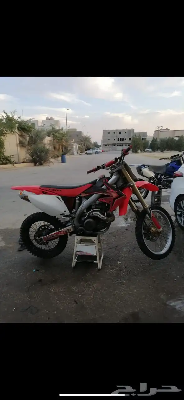 دباب صحراوي للبيع 1