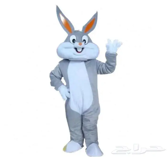 تونز هابي كارتونز كولكشنات (Fun C0l0r D4os) ارنب باغز باني 1