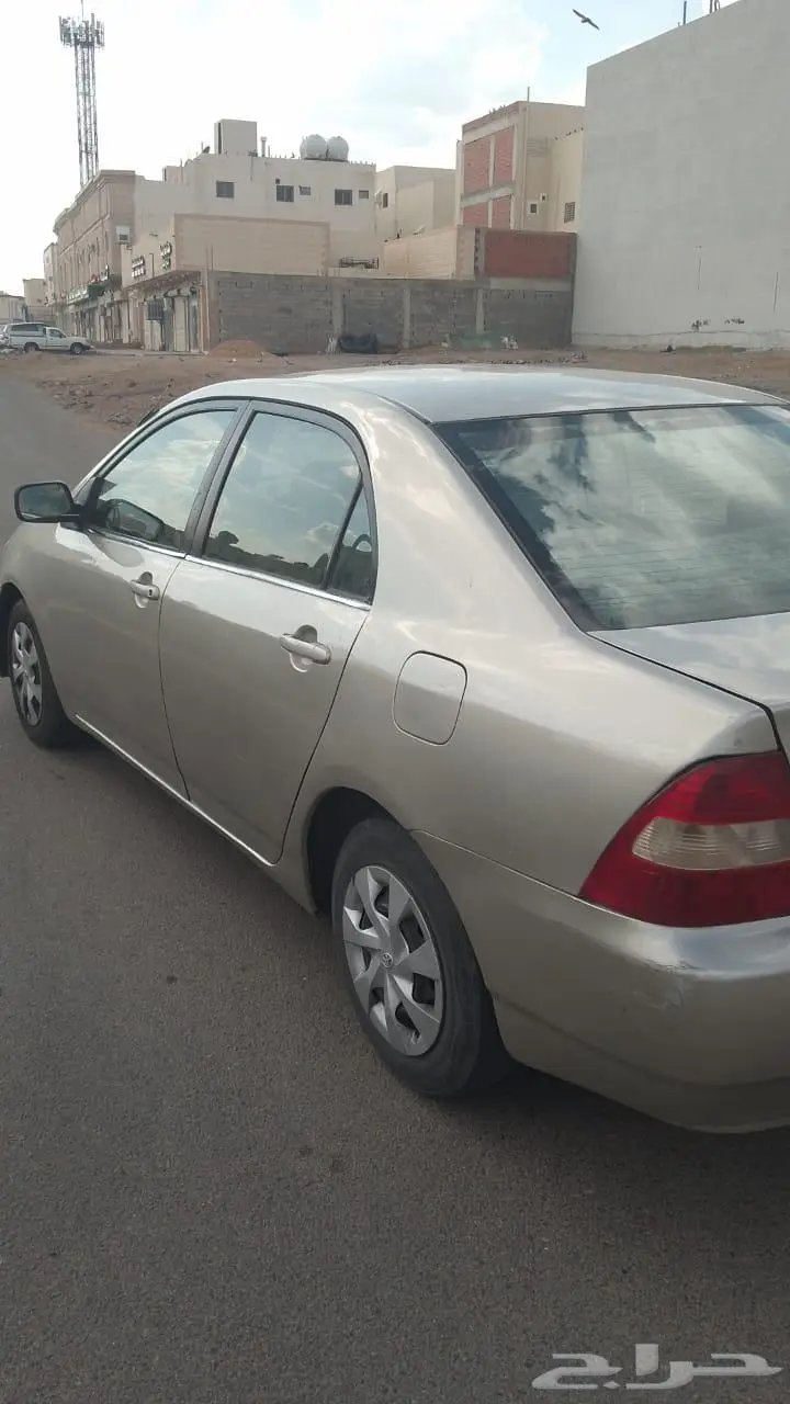 المدينة المنوره حي العريض 2