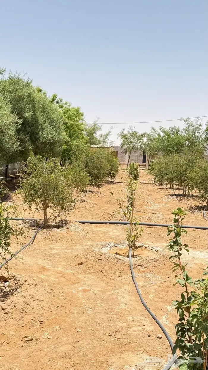 مزرعة للبيع 23