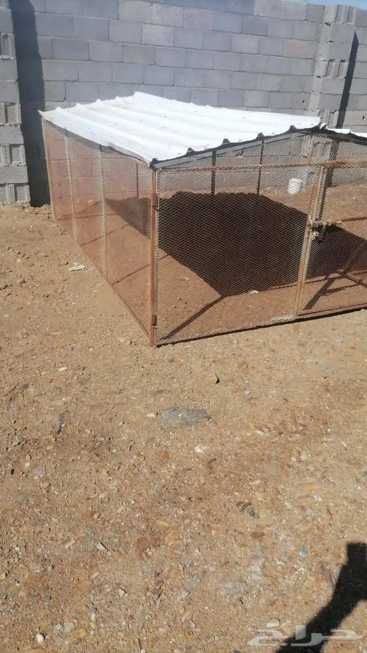 شبك للبيع كبير 2
