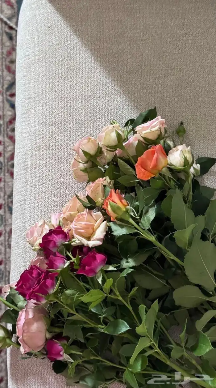 ورد طبيعي بالجمله 4
