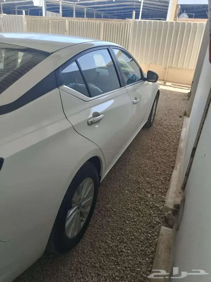 نيسان التيما جنوط ابيض 2023 1