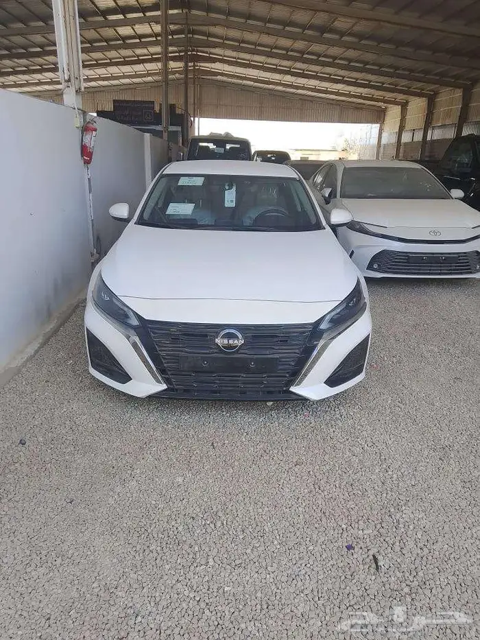 نيسان التيما جنوط ابيض 2023 0