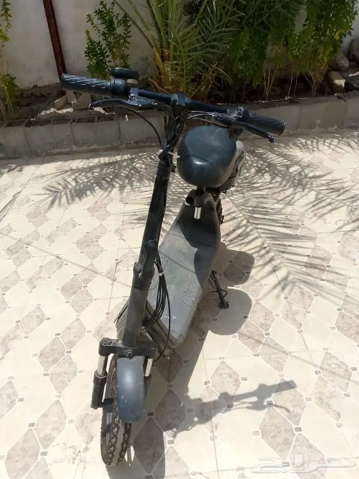 تم البيع 0