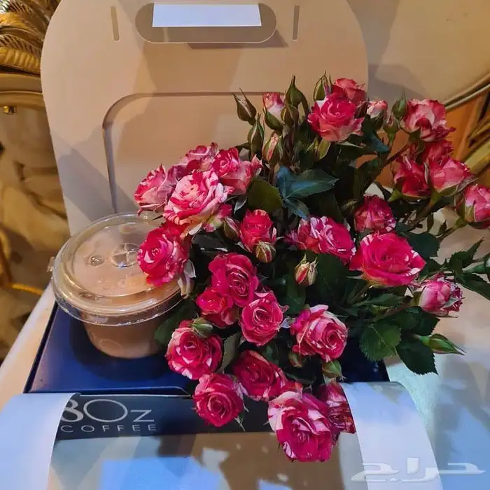 مندوب حائل والقرى 1