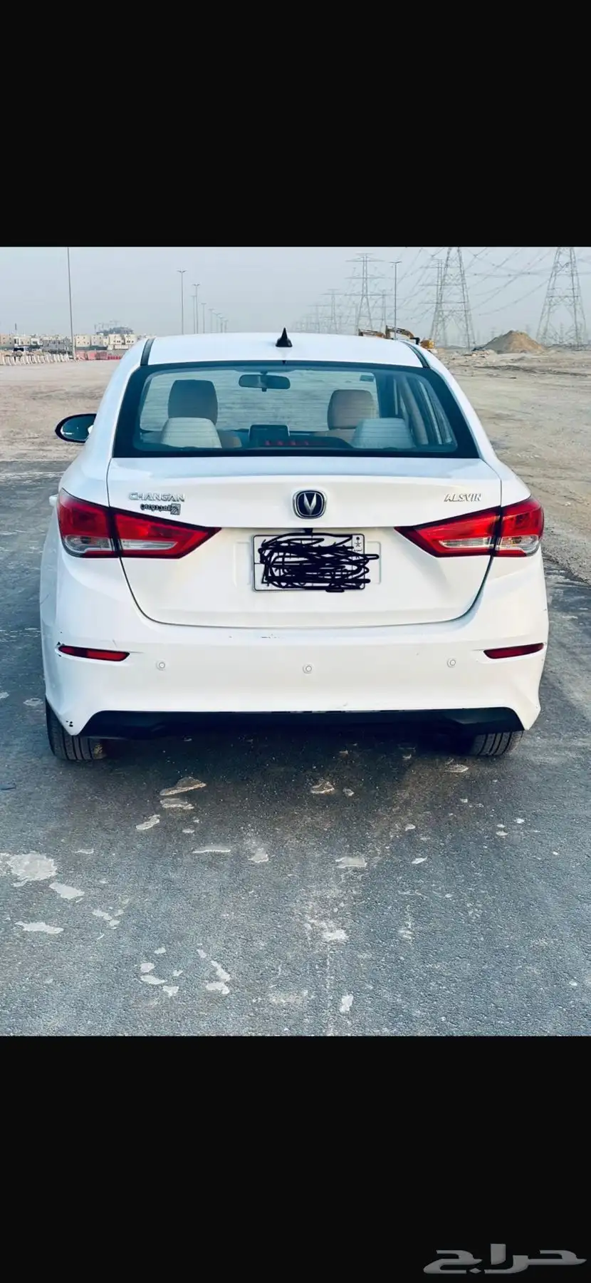 شانجان صيني 1