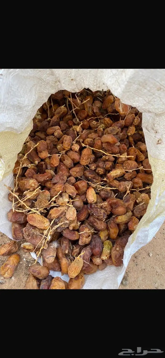 للبيع علف تمر 0