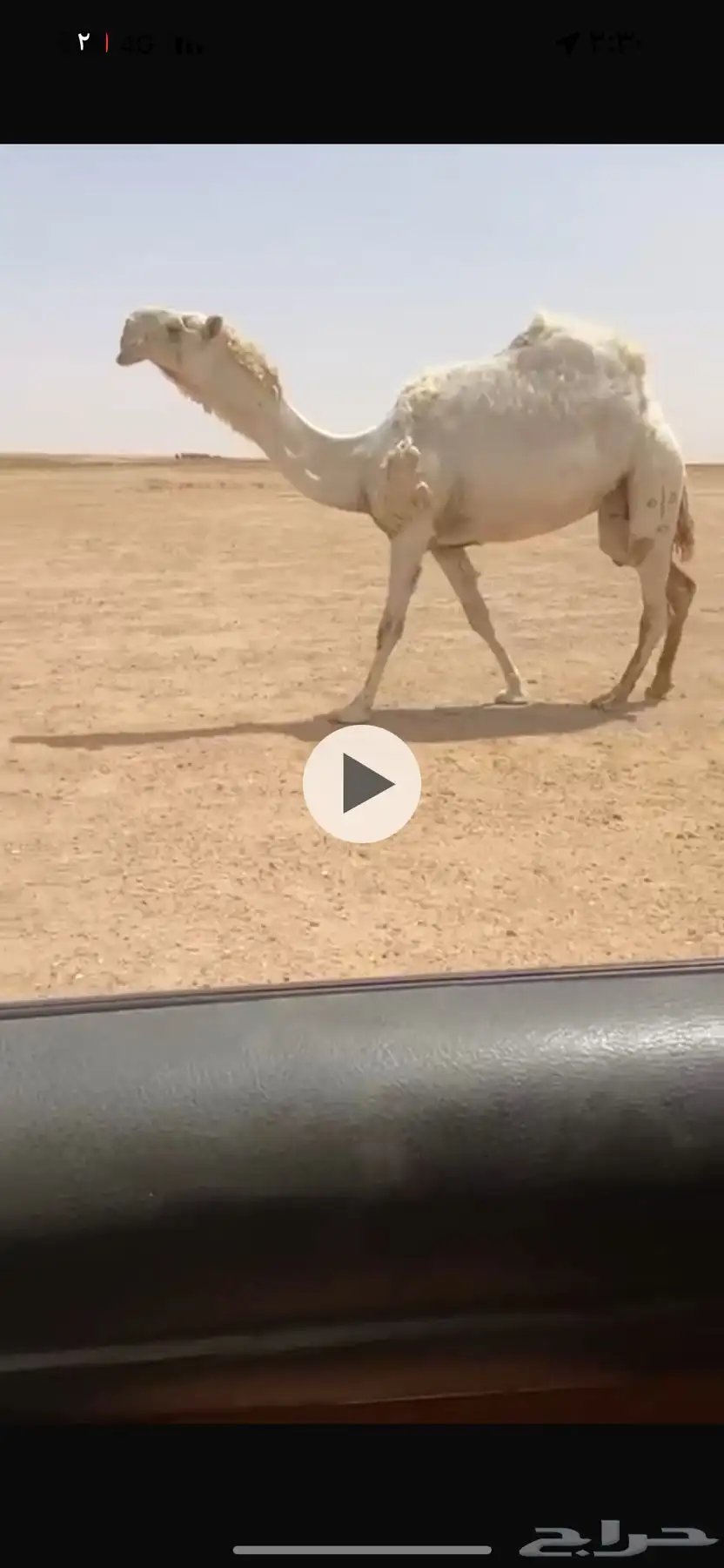 للبيع الحكوميه الكفو 0