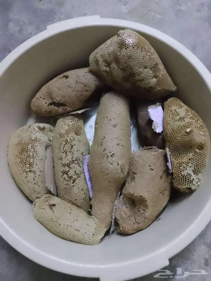 عسل بري حر لايتدخل فيه الانسان الكيلو ب100 1