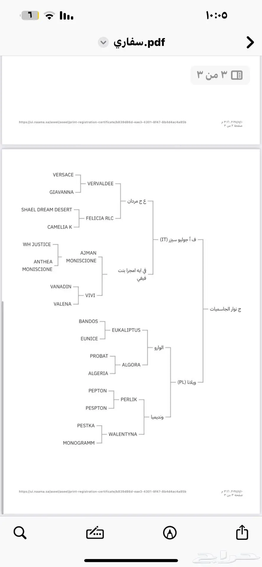 حصان واهو اشقر 2