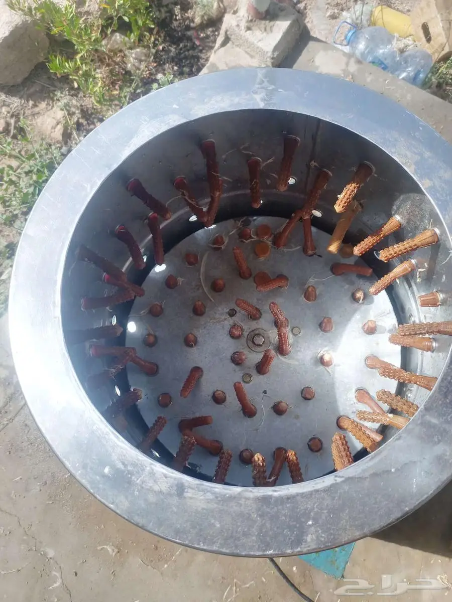 نتافه 1