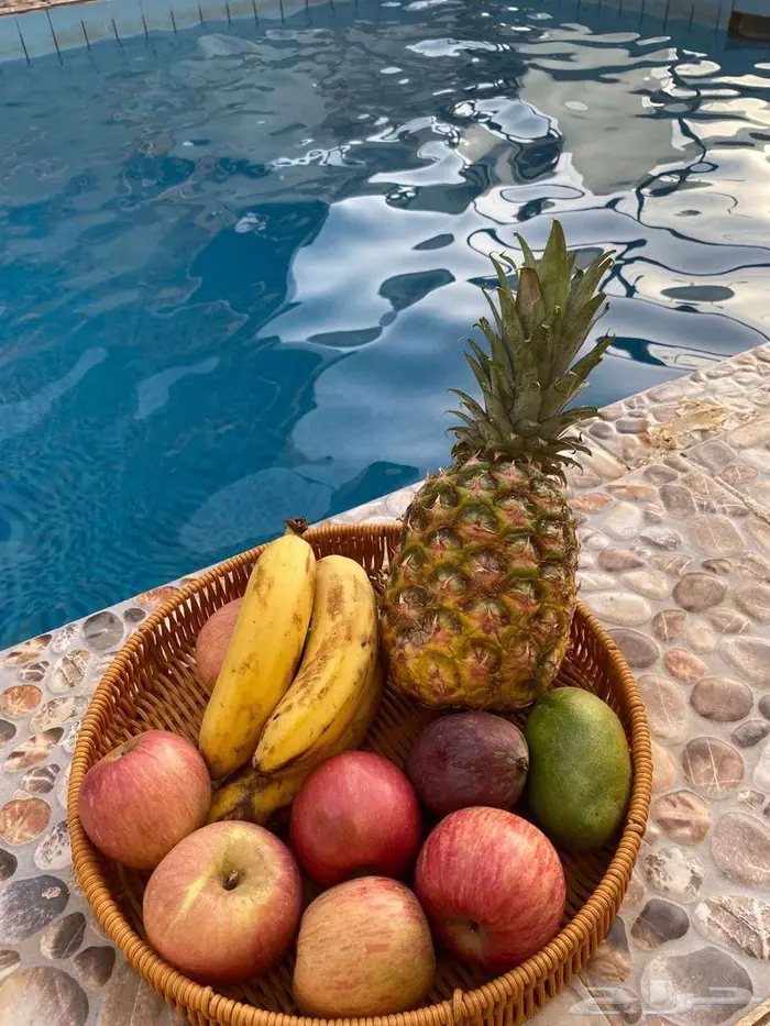 شاليهات جنوب الرياض عرض 299 0