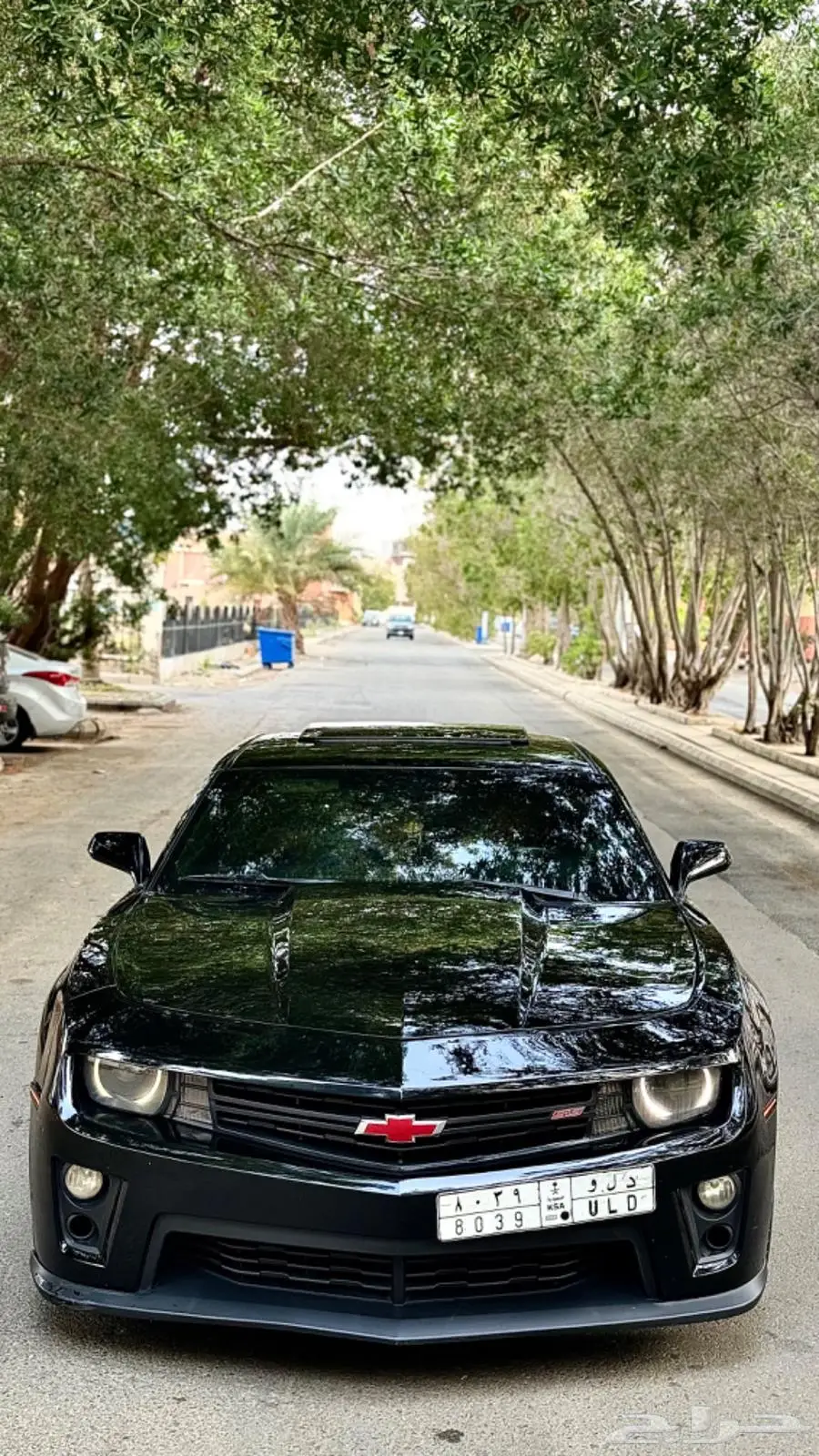 كمارو ss 6