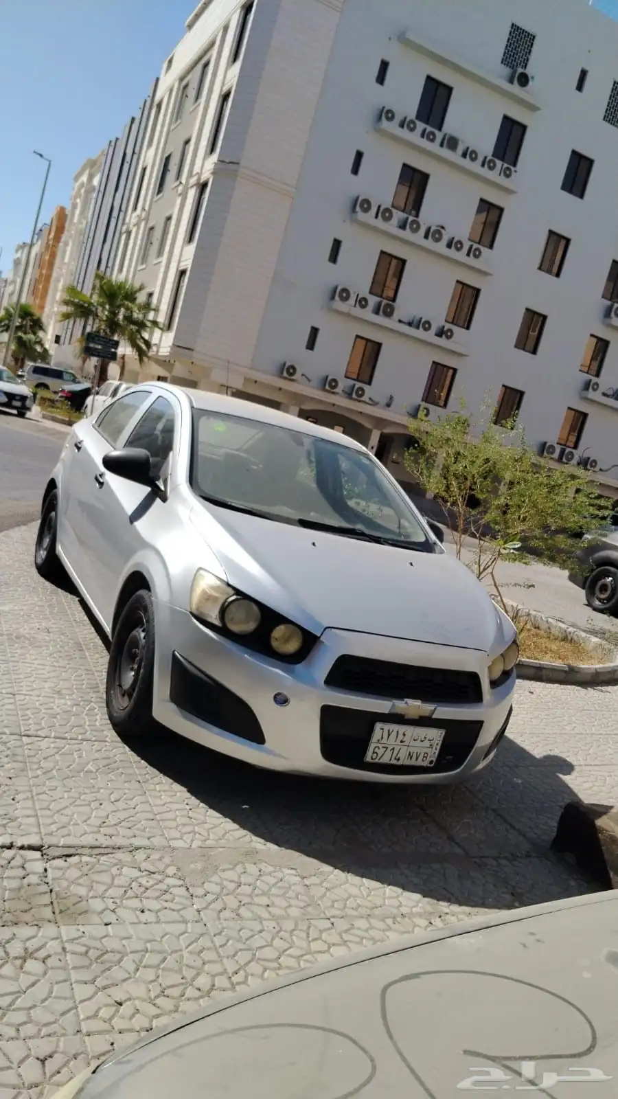 شفر سونك 2013 1