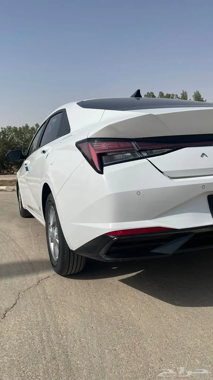 اللنترا 2021 0