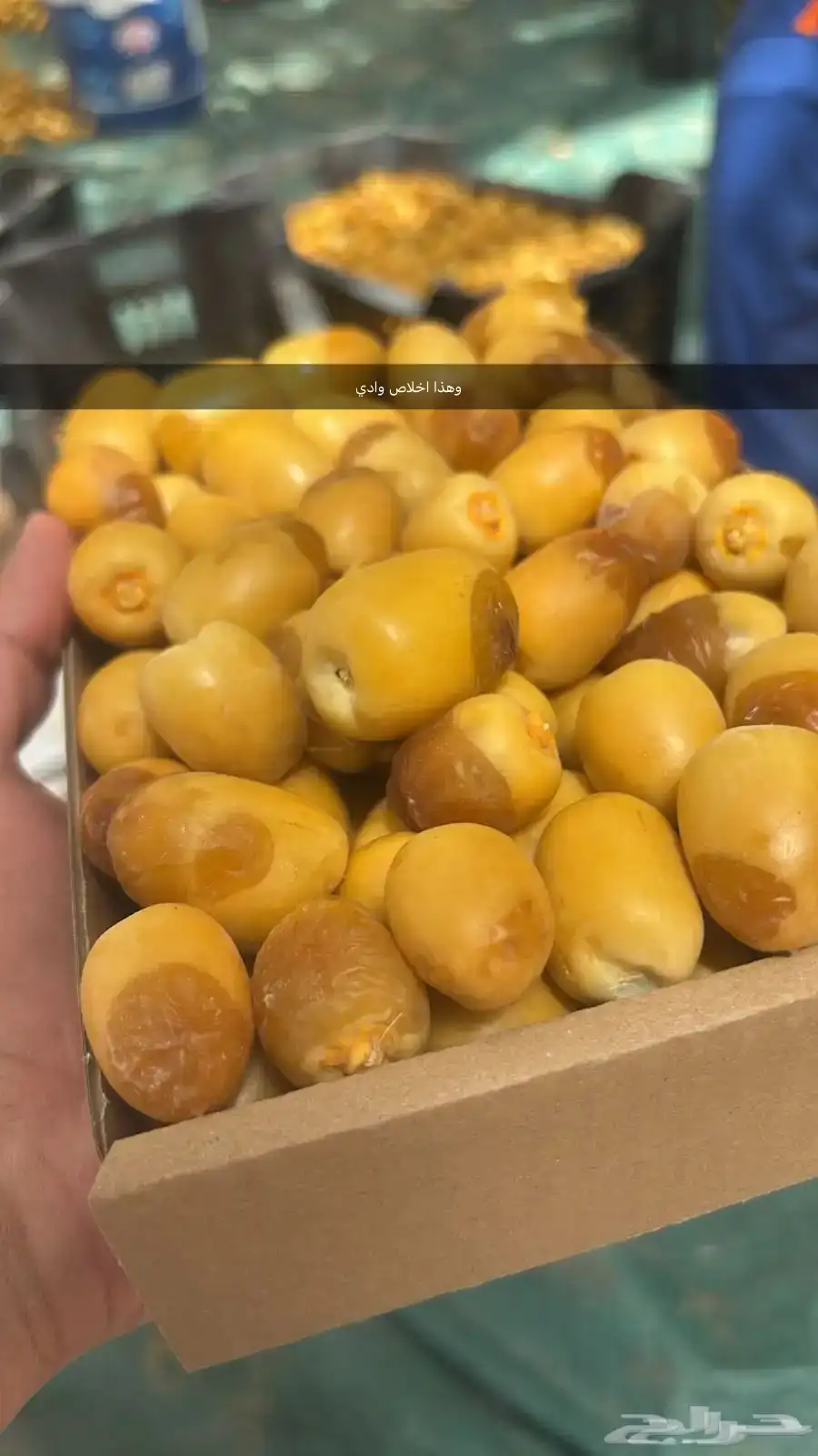 رطب اخلاص وادي فاخر خراف يومي ويوجد كميات ويوجد توصيل 1