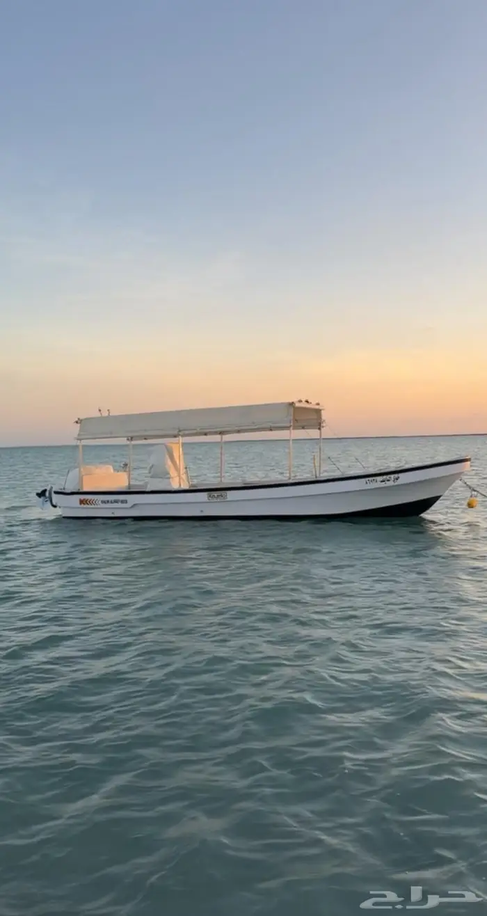 قارب للبيع 1