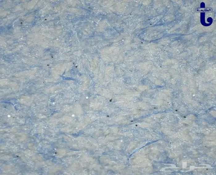 سلك بلاستر 13