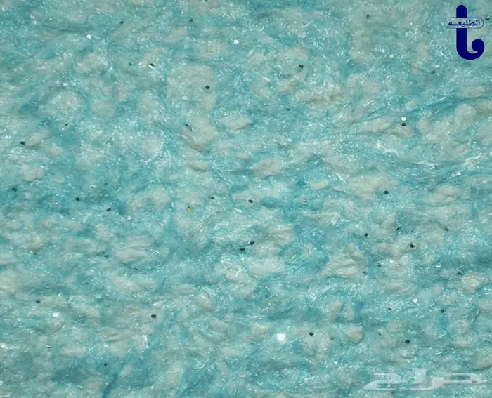 سلك بلاستر 10
