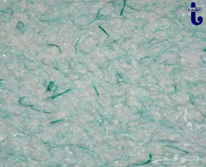 سلك بلاستر 0