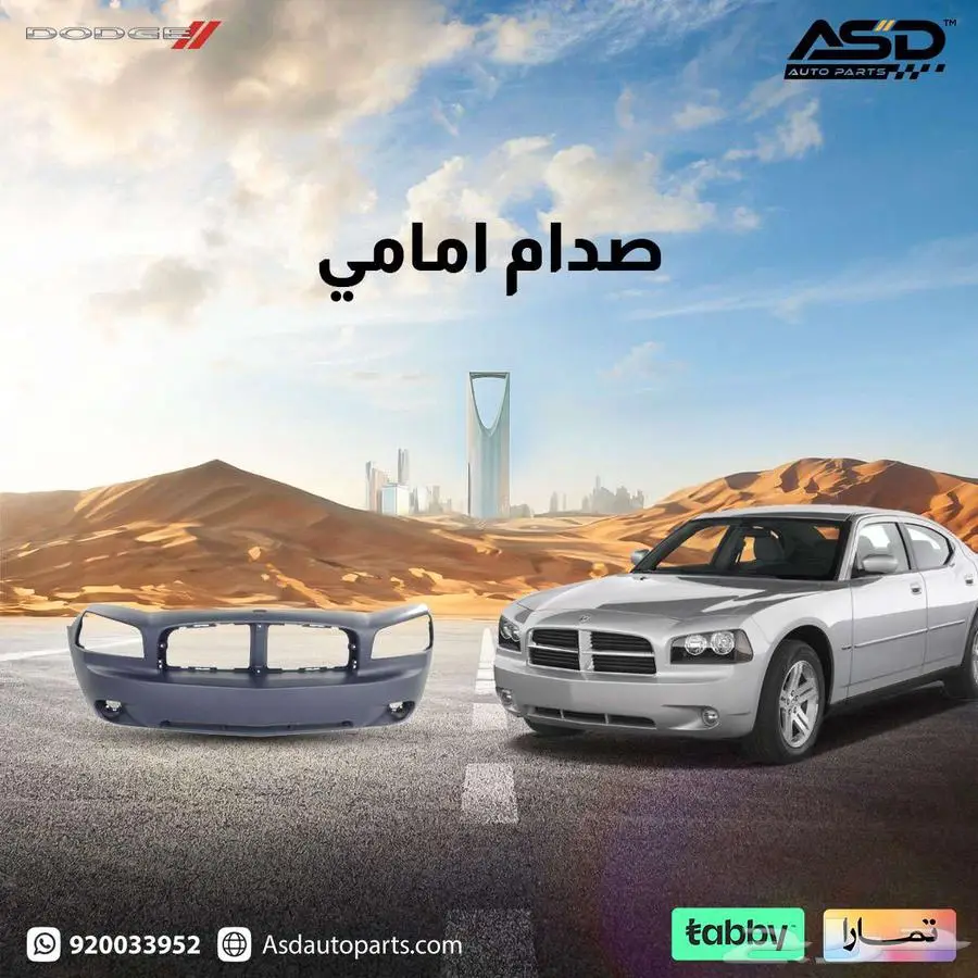 صدام امامي 0