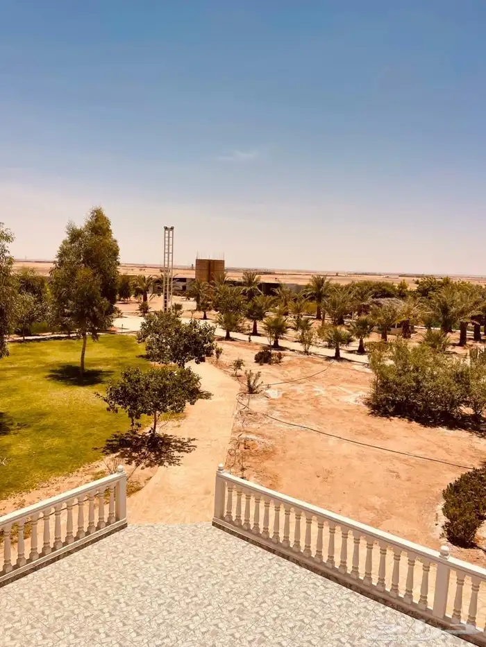 مزرعة للبيع 4