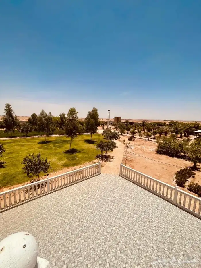 مزرعة للبيع 1