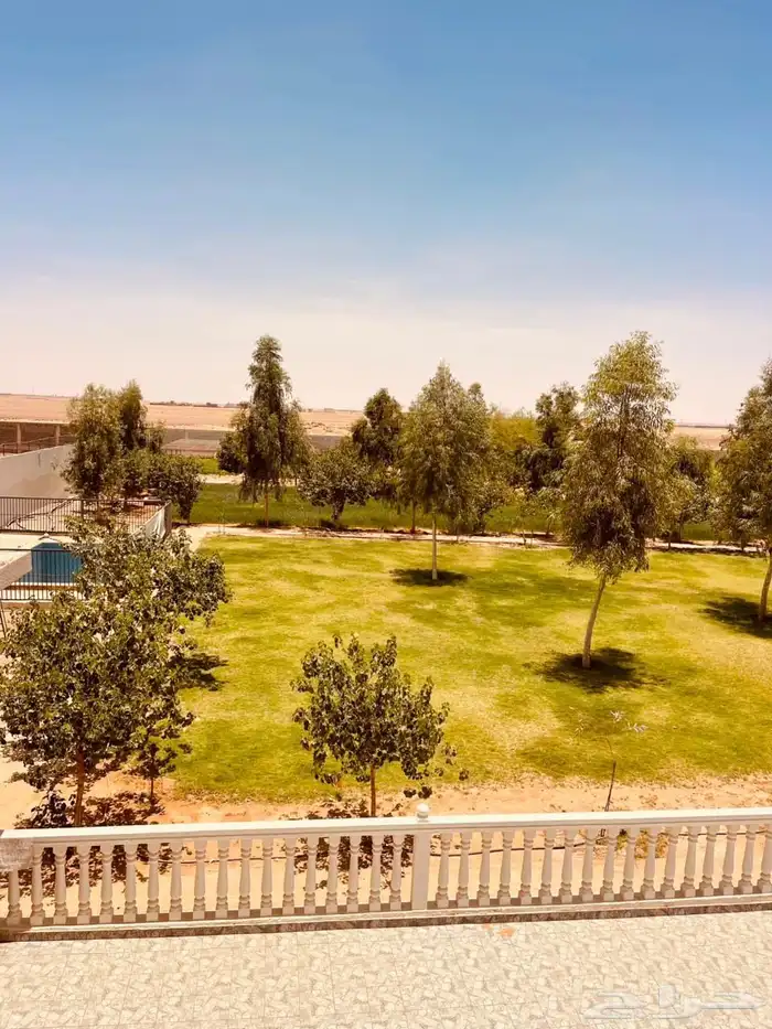 مزرعة للبيع 11